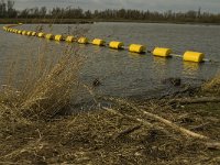 NL, Noord-Brabant, Altena, Polder Maltha 8, Saxifraga-Jan van der Straaten