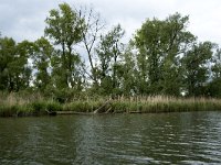 NL, Noord-Brabant, Altena, Ruigt 1, Saxifraga-Willem van Kruijsbergen