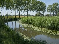 NL, Noord-Brabant, Altena, Vierbansche Gantel 5, Saxifraga-Jan van der Straaten