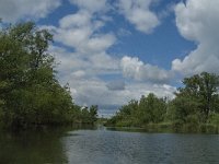 NL, Noord-Brabant, Drimmelen, Buiten Kooigat 20, Saxifraga-Jan van der Straaten