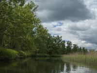 NL, Noord-Brabant, Drimmelen, Buiten Kooigat 23, Saxifraga-Jan van der Straaten