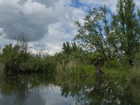 NL, Noord-Brabant, Drimmelen, Buiten Kooigat 25, Saxifraga-Jan van der Straaten