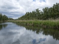 NL, Noord-Brabant, Drimmelen, Buiten Kooigat 34, Saxifraga-Willem van Kruijsbergen