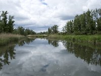 NL, Noord-Brabant, Drimmelen, Buiten Kooigat 37, Saxifraga-Willem van Kruijsbergen