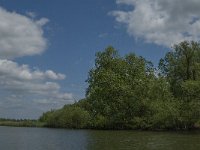 NL, Noord-Brabant, Drimmelen, Buiten Kooigat 5, Saxifraga-Jan van der Straaten