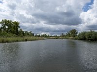 NL, Noord-Brabant, Drimmelen, Buiten Kooigat 52, Saxifraga-Willem van Kruijsbergen