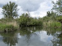 NL, Noord-Brabant, Drimmelen, Buiten Kooigat 57, Saxifraga-Willem van Kruijsbergen