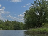 NL, Noord-Brabant, Drimmelen, Buiten Kooigat 6, Saxifraga-Jan van der Straaten