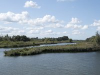 NL, Noord-Brabant, Drimmelen, Gat van Van Kampen 12, Saxifraga-Willem van Kruijsbergen