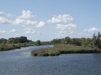 NL, Noord-Brabant, Drimmelen, Gat van Van Kampen 13, Saxifraga-Willem van Kruijsbergen