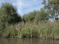 NL, Noord-Brabant, Drimmelen, Gat van de Buisjes 17, Saxifraga-Willem van Kruijsbergen