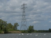 NL, Noord-Brabant, Drimmelen, Gat van de Noorderklip 1, Saxifraga-Jan van der Straaten