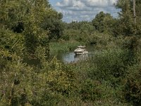 NL, Noord-Brabant, Drimmelen, Gat van de Slek 12, Saxifraga-Jan van der Straaten