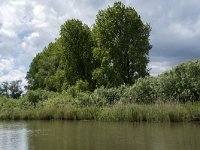 NL, Noord-Brabant, Drimmelen, Gat van de Slek 22, Saxifraga-Willem van Kruijsbergen