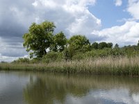 NL, Noord-Brabant, Drimmelen, Gat van de Slek 29, Saxifraga-Willem van Kruijsbergen