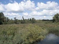 NL, Noord-Brabant, Drimmelen, Gat van de Slek 30, Saxifraga-Willem van Kruijsbergen