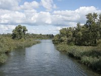 NL, Noord-Brabant, Drimmelen, Gat van de Slek 35, Saxifraga-Willem van Kruijsbergen