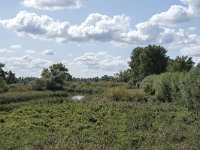 NL, Noord-Brabant, Drimmelen, Gat van de Slek 41, Saxifraga-Willem van Kruijsbergen