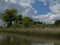 NL, Noord-Brabant, Drimmelen, Gat van de Slek 6, Saxifraga-Jan van der Straaten