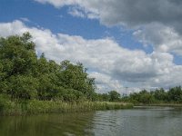 NL, Noord-Brabant, Drimmelen, Gat van de Vloeien 2, Saxifraga-Jan van der Straaten