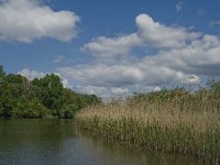 NL, Noord-Brabant, Drimmelen, Gat van de Vloeien 21, Saxifraga-Jan van der Straaten