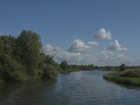 NL, Noord-Brabant, Drimmelen, Gat van de Vloeien 24, Saxifraga-Jan van der Straaten