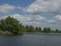 NL, Noord-Brabant, Drimmelen, Gat van de Vloeien 7, Saxifraga-Jan van der Straaten