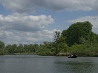 NL, Noord-Brabant, Drimmelen, Gat van de Vloeien 9, Saxifraga-Jan van der Straaten