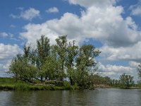 NL, Noord-Brabant, Drimmelen, Keesjes Jan Killeke 17, Saxifraga-Jan van der Straaten