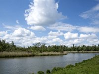 NL, Noord-Brabant, Drimmelen, Keesjes Jan Killeke 37, Saxifraga-Willem van Kruijsbergen