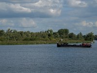 NL, Noord-Brabant, Drimmelen, Spijkerboor 14, Saxifraga-Jan van der Straaten