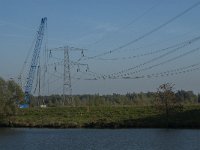 NL, Noord-Brabant, Drimmelen, Spijkerboor 39, Saxifraga-Jan van der Straaten