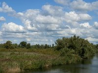 NL, Noord-Brabant, Drimmelen, Steurgat 10, Saxifraga-Jan van der Straaten