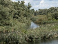 NL, Noord-Brabant, Drimmelen, Steurgat 16, Saxifraga-Willem van Kruijsbergen