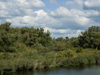 NL, Noord-Brabant, Drimmelen, Steurgat 9, Saxifraga-Jan van der Straaten