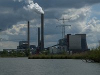 NL, Noord-Brabant, Geertruidenberg, Spijkerboor 1, Saxifraga-Jan van der Straaten