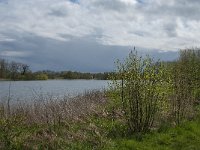 NL, Noord-Brabant, Heusden, Haarsteegs Wiel 11, Saxifraga-Jan van der Straaten