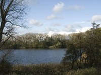 NL, Noord-Brabant, Heusden, Haarsteegsewiel 5, Saxifraga-Jan van der Straaten