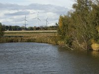 NL, Noord-Brabant, Heusden, Zeedijk 1, Saxifraga-Jan van der Straaten