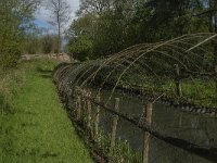 NL, Noord-Brabant, Lith, Lithse eendenkooi 6, Saxifraga-Jan van der Straaten