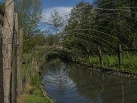 NL, Noord-Brabant, Lith, Lithse eendenkooi 7, Saxifraga-Jan van der Straaten