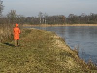 NL, Noord-Brabant, Valkenswaard, fishponds 16, Saxifraga-Jan van der Straaten