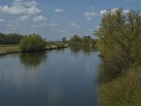 NL, Noord-Brabant, Waalwijk, Oude Maasje 6, Saxifraga-Marijke Verhagen