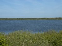 NL, Noord-Holland, Texel, De Horsmeertjes 7, Saxifraga-Willem van Kruijsbergen