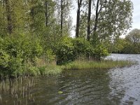 Small lake in Dutch park, Alblasserdam, South Holland, Netherlands  Small lake in Dutch park, Alblasserdam, South Holland, Netherlands : Alblasserdam, Dutch, green, Holland, lake, landscape, natural, nature, Netherlands, no people, nobody, park, pool, rural landscape, small, South Holland, spring, springtime, tree, trees, water, reed, waves