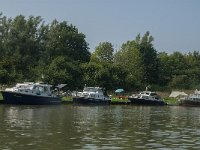 NL, Zuid-Holland, Dordrecht, Hengstpolder 3, Saxifraga-Jan van der Straaten