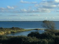 NL, Zuid-Holland, Goeree-Overflakkee, Preekhilpolder 4, Saxifraga-Jan van der Straaten