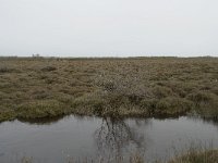 F, Bouches-du-Rhone, Arles, Domaine de la Pallisade 19, Saxifraga-Willem van Kruijsbergen