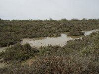 F, Bouches-du-Rhone, Arles, Domaine de la Pallisade 2, Saxifraga-Willem van Kruijsbergen