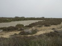 F, Bouches-du-Rhone, Arles, Domaine de la Pallisade 20, Saxifraga-Willem van Kruijsbergen